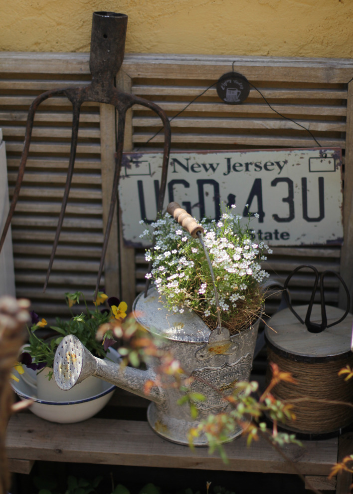 一个重度搪瓷爱好者的杂货花园