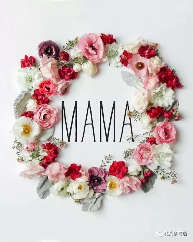 母亲节送什么花比较实用,母亲节送什么花合适呢