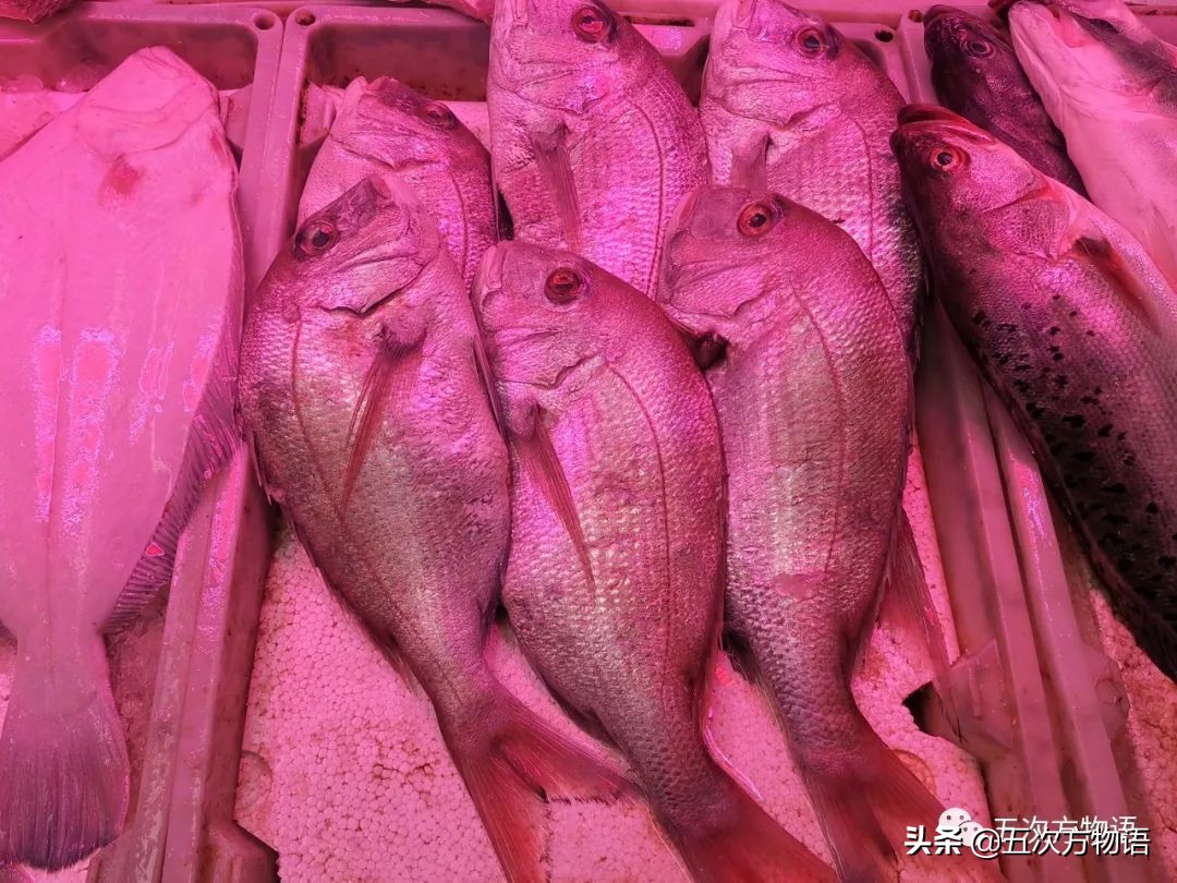 青岛菜市场分布图,青岛海鲜市场价格表今日