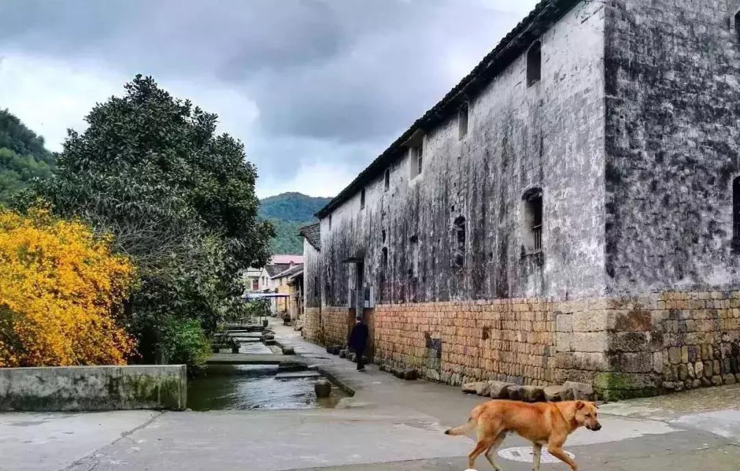 绍兴新昌一日游最佳景点,知否新昌取景地