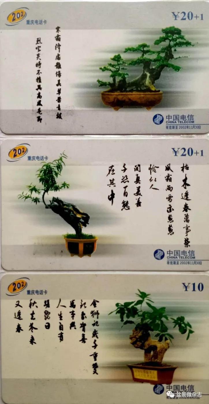 鐩嗘櫙鑱旂郴鐢佃瘽,鐩嗘櫙鑱旂郴鐢佃瘽鍙风爜