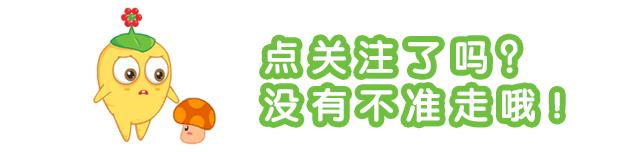 白芨还有种植前景吗,白芨种植前景如何
