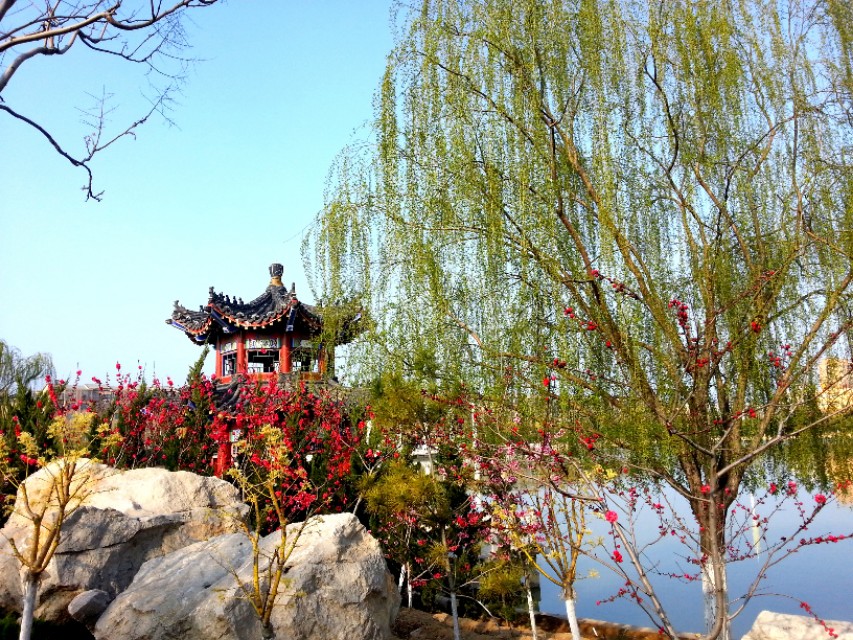 七绝诗新韵原创,五绝中华新韵的诗