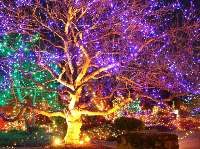 灯图片大全艺术,灯图片大全免费