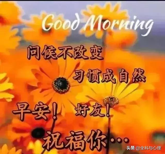 早上好表情早上好问候,早上好动态表情图片大全最新版