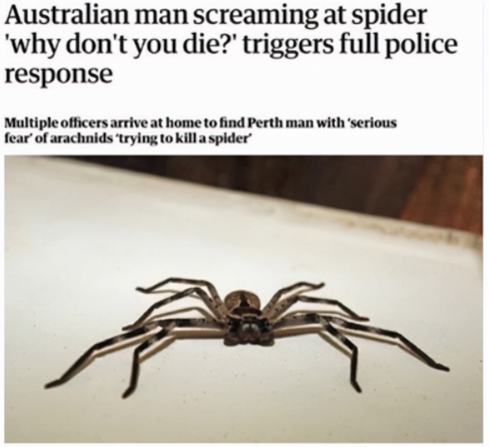 南方蟑螂和北方蟑螂对比恶搞,南方大蟑螂吓哭北方人