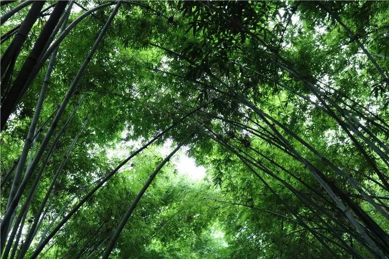 深圳遛娃必去的50个主题公园,深圳亲子游十佳去处免费