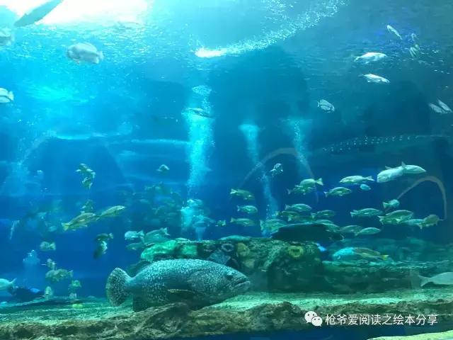 暑假珠海长隆两日一夜亲子游,珠海长隆海洋王国亲子游北极熊