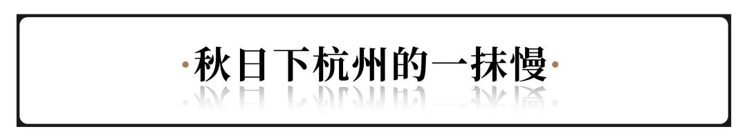 秋天值得逛的地方,秋天最适合旅游的城市推荐