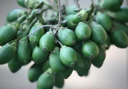 美国公布癌症预防建议,美国十条癌症预防建议