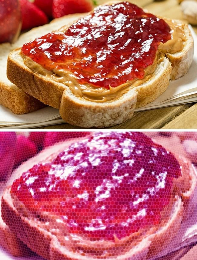 动物世界视力最好的动物,动物界中哪种动物视力最好