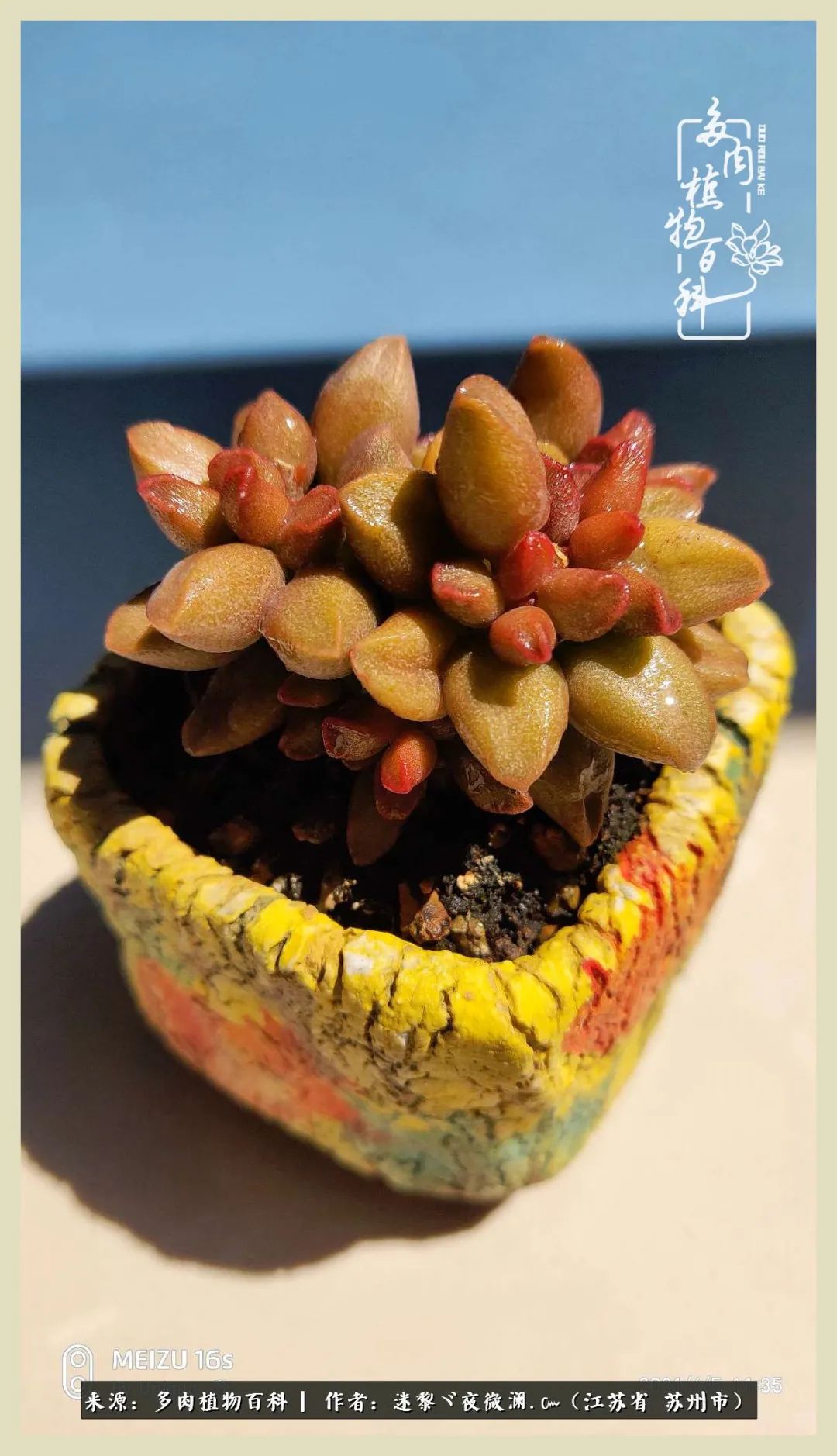 秋尽冬来岁月不居时节如流,岁月不居时节如流水