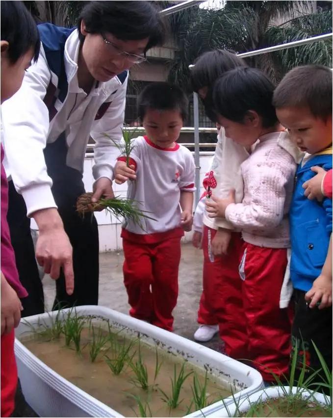 天团男团出道,天团最新出道名单
