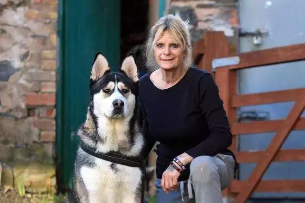 哈士奇拯救小镇,哈士奇拯救了一个村的人