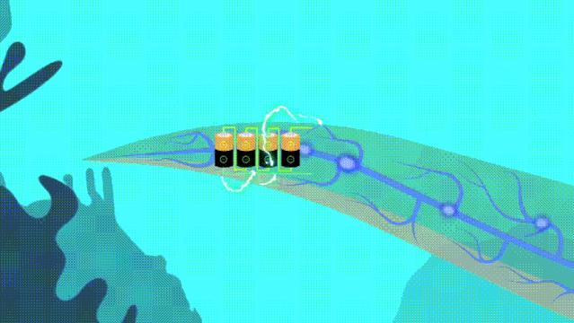 电鳗靠什么能源发电,利用电鳗身体放电来发电