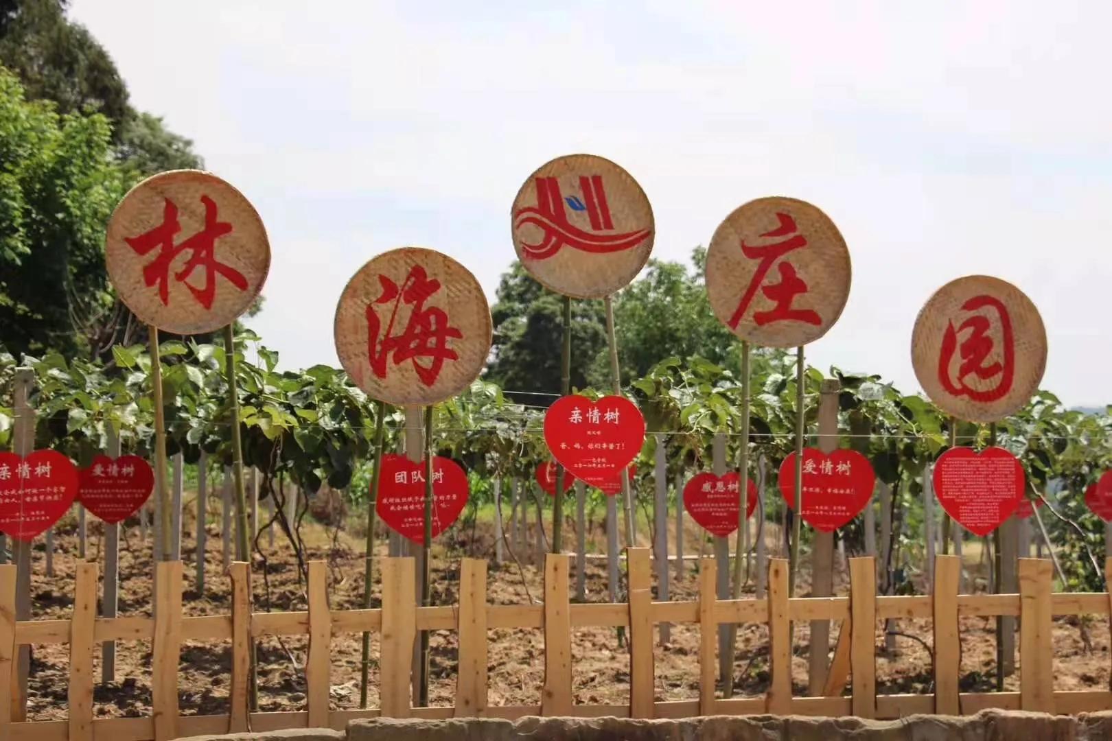 新型农业模式种植什么最赚钱,搞农业致富