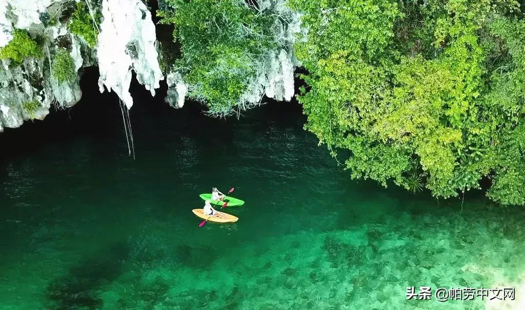 帕劳旅行水母湖,帕劳水母湖海岛