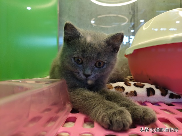 vivox27拍照长曝光效果,vivox27测评拍照