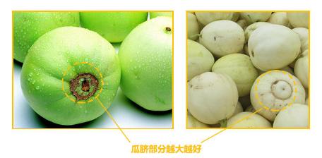 买香瓜时一定要挑选大的吗？详解挑选技巧，吃起来更加香甜可口