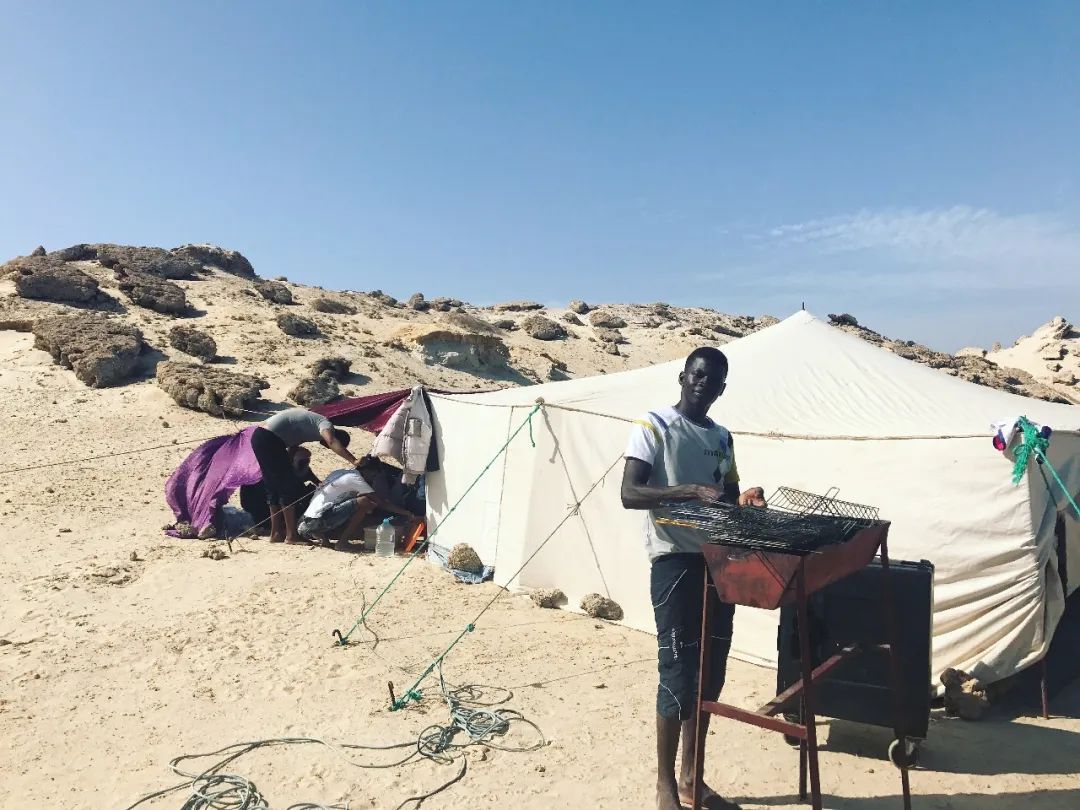 填志愿时服从调剂怎么填,填志愿可以全部填本省吗