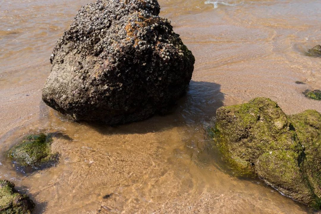 深圳少见的“十里银滩”，美到无边