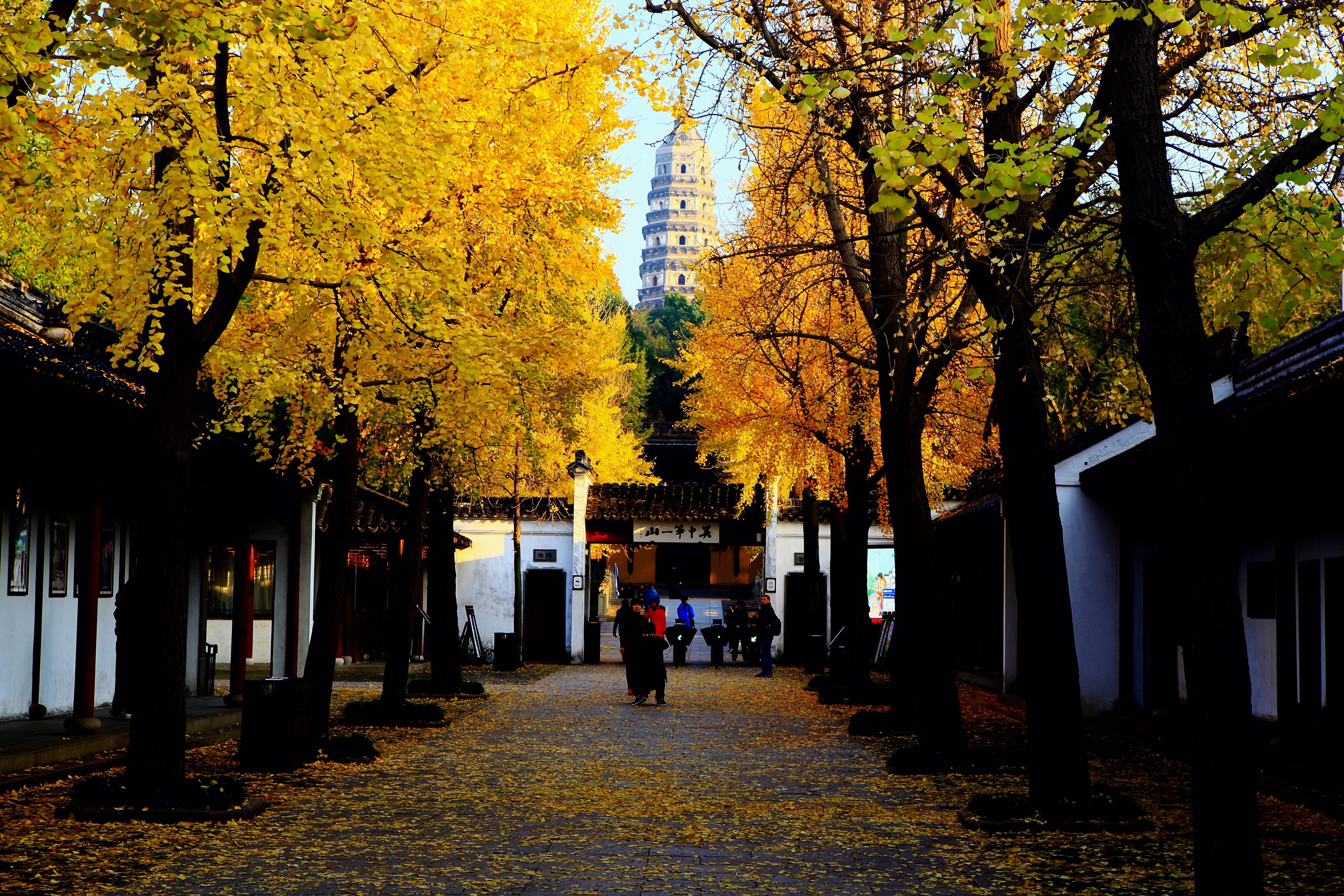 苏州附近100公里左右的旅游景点,苏州平江路附近有什么好玩的景点