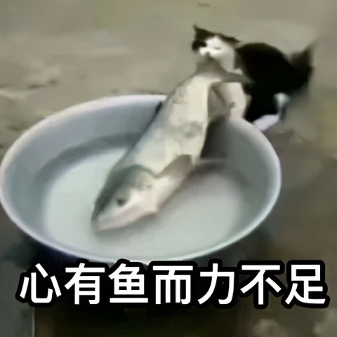 成本和消耗，我！全！都！要