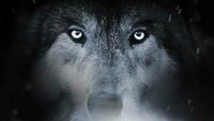 极度恐慌电影女主,极度恐慌女主是谁