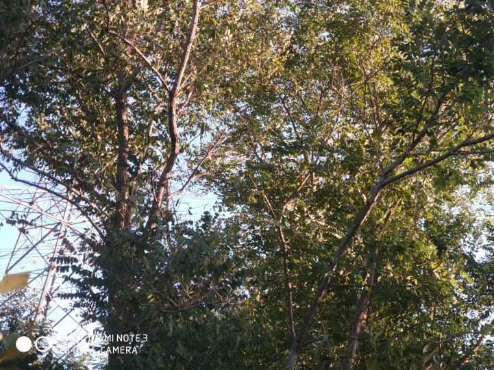 大连长兴岛长城,大连长城4s店