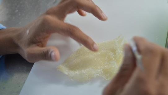 燕窝真假鉴别最简单方法,燕窝鉴别方法怎样辨别优质燕窝