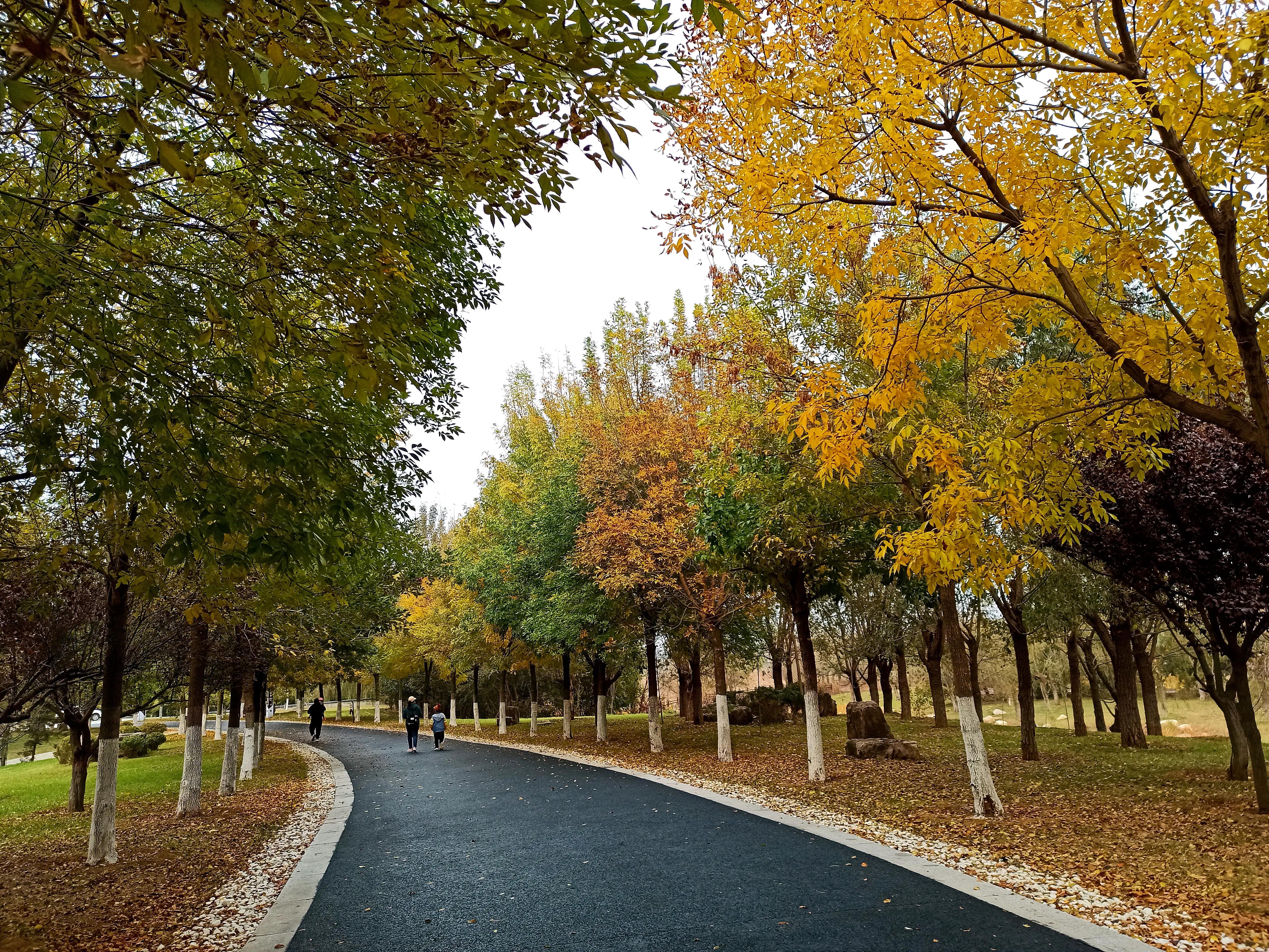 秋天的颜色是五光十色的,秋天的色彩是那样的斑斓