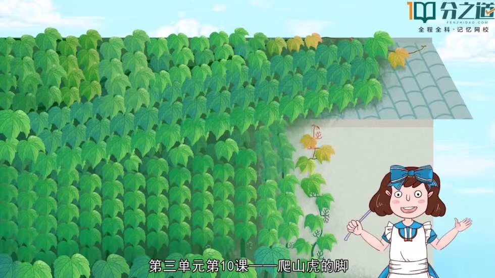 描写夏天的一篇作文5句话,描写夏天的作文诗句