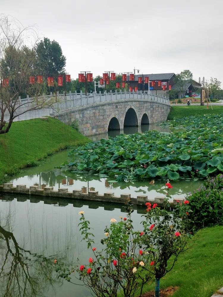 游高淳老街,逛高淳老街品固城湖螃蟹