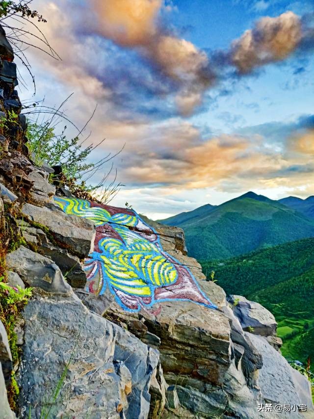 阿土｜荒野生活/从城市白领到山中野人