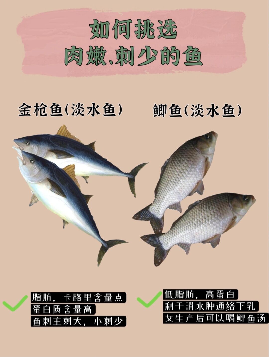 烤鱼选什么鱼刺少,有刺和无刺的鱼哪种好