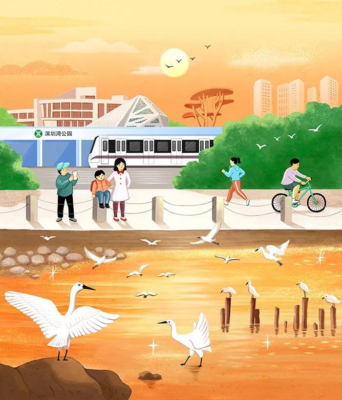 插画师运营自媒体入门课程,插画师怎样运营自己