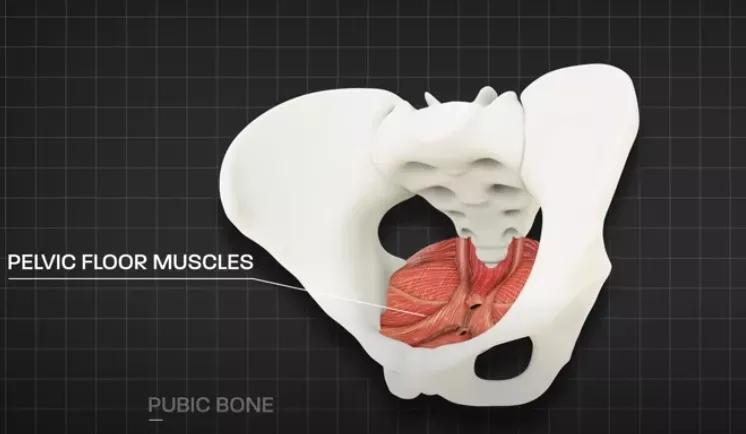 产后九年了漏尿能修复吗,产后修复做完还漏尿怎么回事