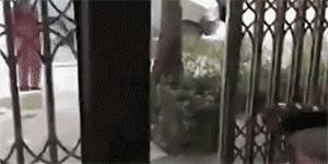 金星谈婚姻鲁豫有约完整版,金星说的婚姻还有必要继续吗