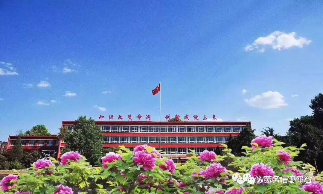 中国一拖东方红拖拉机制造厂,1998年中国一拖拖拉机厂家