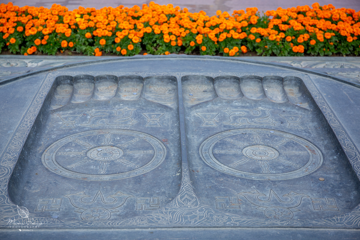 无锡灵山大佛抱佛脚视频,无锡灵山抱佛脚排队多久