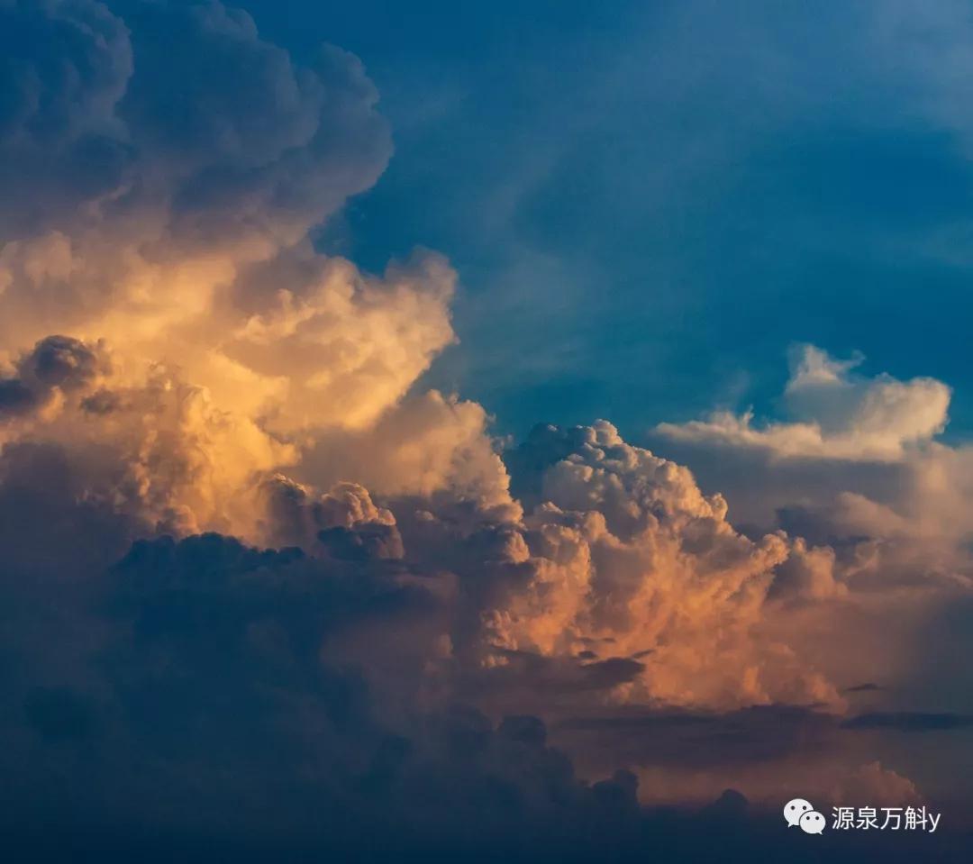 灵魂教育者-《卡特教练》