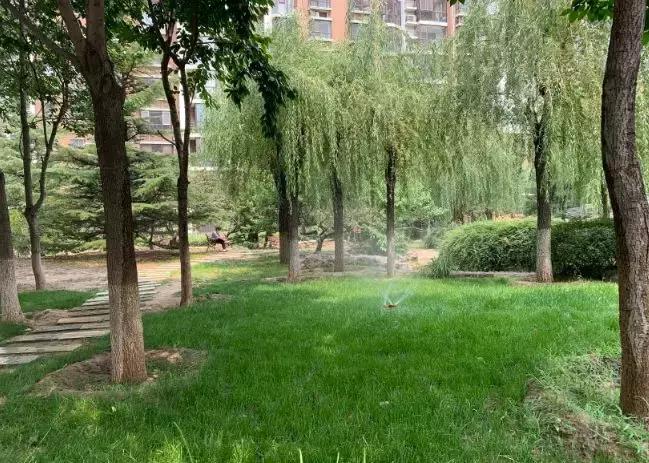 为什么两省交界的路不一样,两区交界是什么