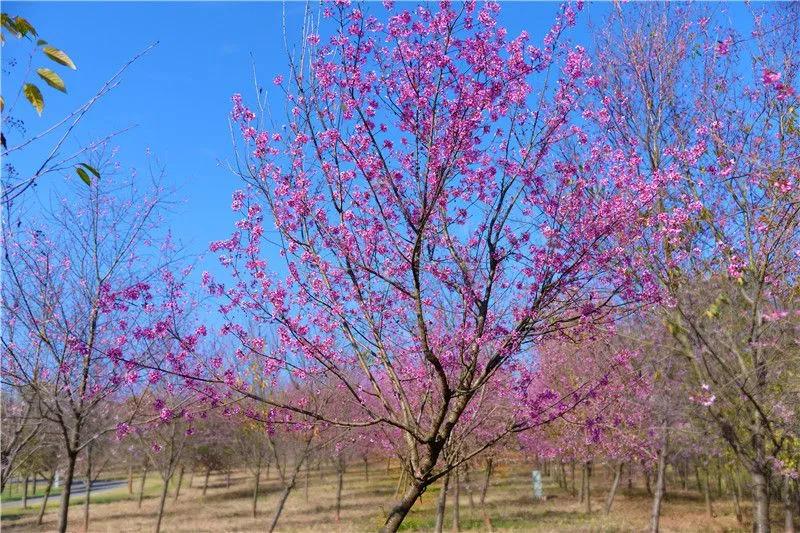 瞧！这花花世界谁不爱