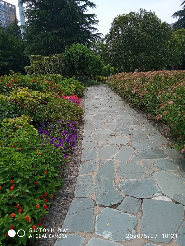 芒种种出新希望,芒种和幸福播种