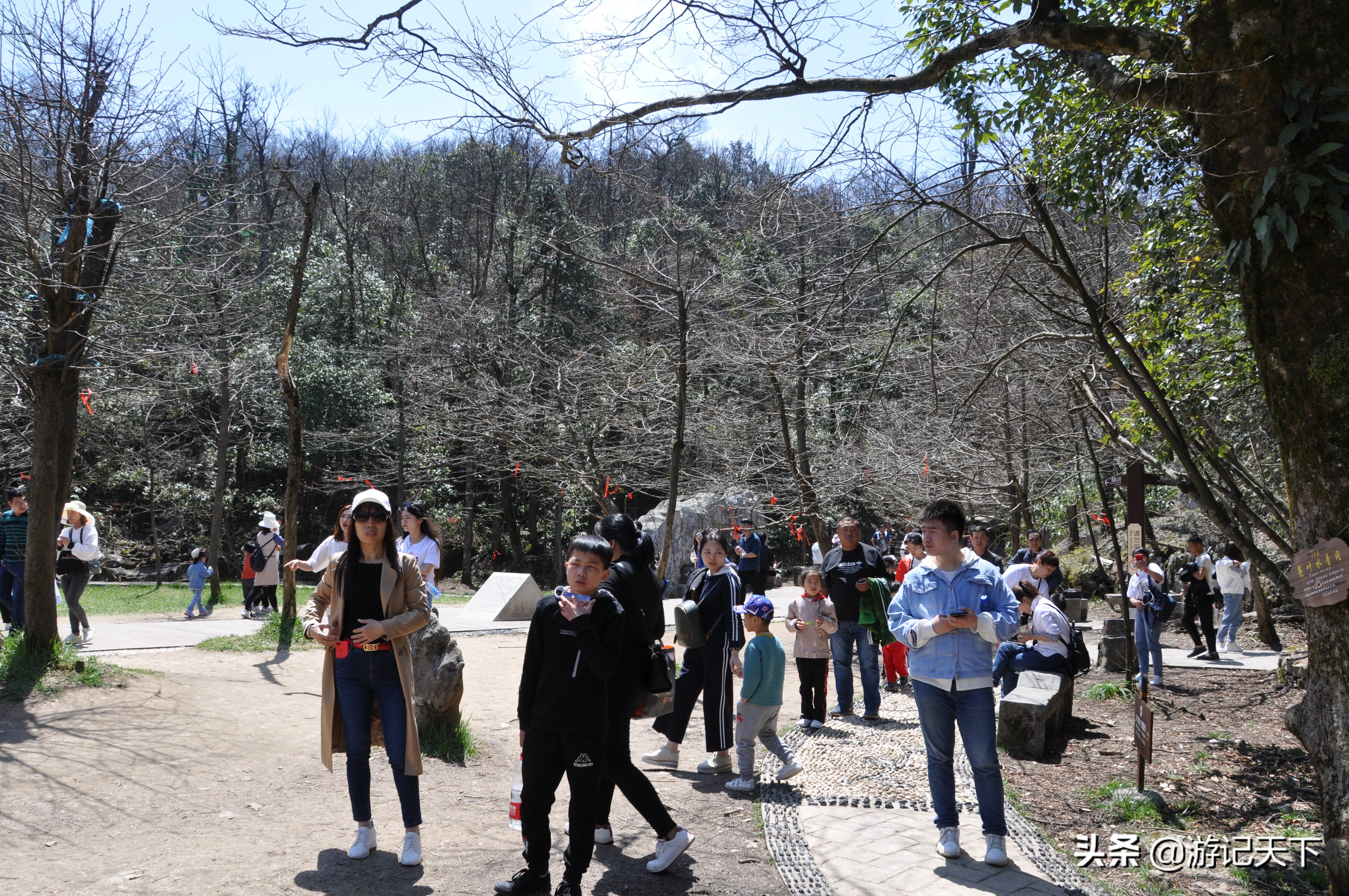 世界奇观张家界,世界奇观奇景