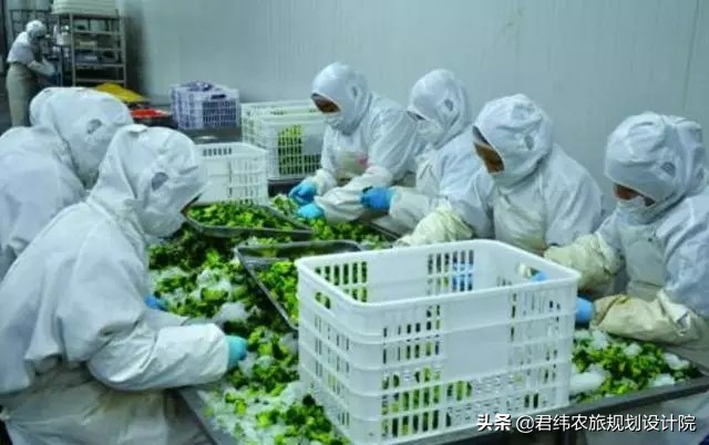 农业公司都有哪些优惠政策扶持,农业补贴强力扶持这5类项目