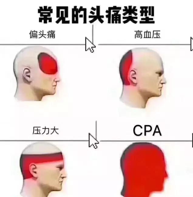 备考cpa专用表情,cpa考试备考图片