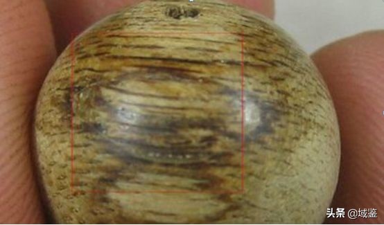 比黄金贵的木头沉香,沉香木比黄金贵