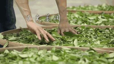 300块一斤包邮的茶叶和大几千上万的茶叶有区别么？