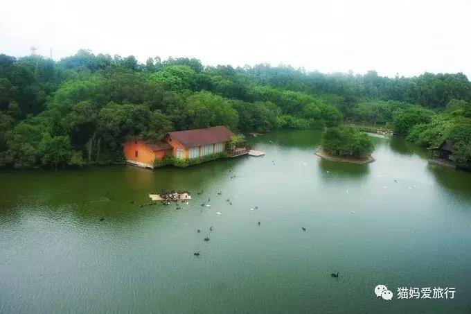 2天游玩广州长隆野生动物园攻略,广州长隆野生动物园步行游玩攻略